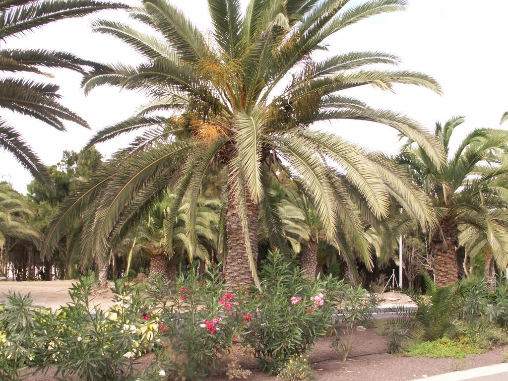 Apartment Casavovo Costa Calma Dış mekan fotoğraf